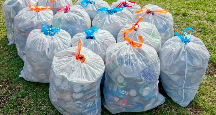 optim-pexels-loren-biser-11529940